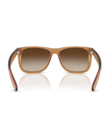 The Ray-Ban Justin Classic Sunglasses in Polished Rubber Beige