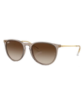 The Ray-Ban Erika Sunglasses in Light Brown