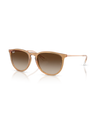 Erika Classic Sunglasses in Rubber Beige