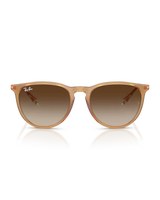 Erika Classic Sunglasses in Rubber Beige