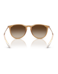 Erika Classic Sunglasses in Rubber Beige