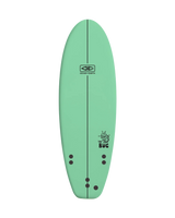 The Bug 5'6