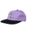 The Santa Cruz Mens Mccoy Donut Dog Cap in Digital Lavender