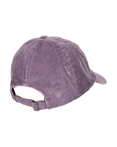 The Santa Cruz Mens Opus Dot Label Cap in Purple Haze