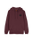 The Santa Cruz Mens Winkowski Hachi Ball Hoodie in Dark Plum