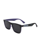 The Santa Cruz Mens Vertigo Sunglasses in Black & Black