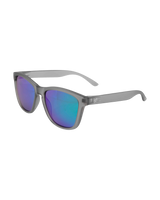 The Santa Cruz Mens Coastal Sunglasses in Sand Grey & Green