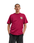 The Santa Cruz Mens Flaming Dice Dot T-Shirt in Burgundy