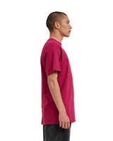 The Santa Cruz Mens Flaming Dice Dot T-Shirt in Burgundy