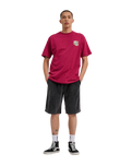 The Santa Cruz Mens Flaming Dice Dot T-Shirt in Burgundy