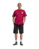 The Santa Cruz Mens Flaming Dice Dot T-Shirt in Burgundy