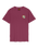 The Santa Cruz Mens Flaming Dice Dot T-Shirt in Burgundy