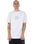 The Santa Cruz Mens Meek Pinstripe Slasher T-Shirt in White