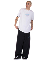The Santa Cruz Mens Meek Pinstripe Slasher T-Shirt in White