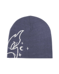 The Santa Cruz Womens Evolve Beanie in Heritage Blue