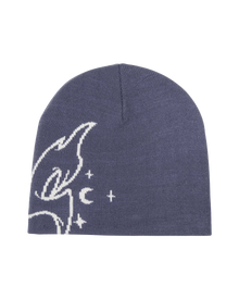 The Santa Cruz Womens Evolve Beanie in Heritage Blue