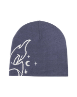The Santa Cruz Womens Evolve Beanie in Heritage Blue