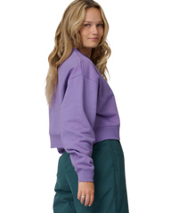The Santa Cruz Womens Kelp Strip Sweatshirt in Purple Haze