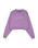 The Santa Cruz Womens Kelp Strip Sweatshirt in Purple Haze