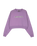 The Santa Cruz Womens Kelp Strip Sweatshirt in Purple Haze