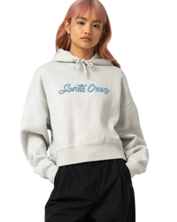 The Santa Cruz Womens Love Script Front Hoodie in Mist