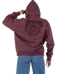 The Santa Cruz Womens Sun Up Dot Hoodie in Cocoa Powder