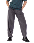 The Santa Cruz Womens Makers Trousers in Grey Wash