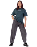 The Santa Cruz Womens Makers Trousers in Grey Wash