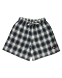 The Santa Cruz Womens Classic Check Walkshorts in Navy & Green Check