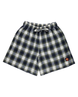 The Santa Cruz Womens Classic Check Walkshorts in Navy & Green Check