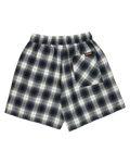 The Santa Cruz Womens Classic Check Walkshorts in Navy & Green Check