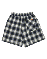 The Santa Cruz Womens Classic Check Walkshorts in Navy & Green Check