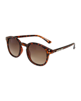 The Santa Cruz Womens Watson Sunglasses in Brown & Tortoiseshell