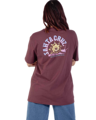 The Santa Cruz Womens Star Snail T-Shirt in Cocoa Powder