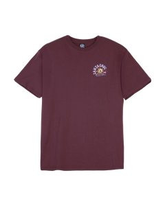 The Santa Cruz Womens Star Snail T-Shirt in Cocoa Powder