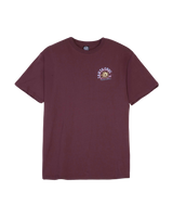 The Santa Cruz Womens Star Snail T-Shirt in Cocoa Powder