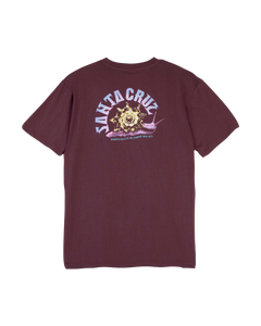 The Santa Cruz Womens Star Snail T-Shirt in Cocoa Powder