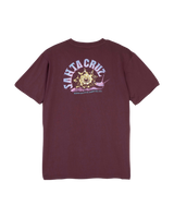 The Santa Cruz Womens Star Snail T-Shirt in Cocoa Powder