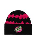 The Santa Cruz Boys Boys Slime Stripe Beanie in Black