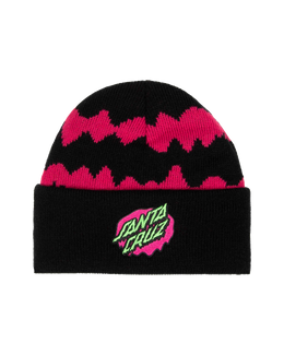 The Santa Cruz Boys Boys Slime Stripe Beanie in Black