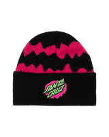 The Santa Cruz Boys Boys Slime Stripe Beanie in Black