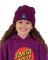 The Santa Cruz Boys Boys Hand Dude Beanie in Fresh Purple