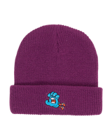 The Santa Cruz Boys Boys Hand Dude Beanie in Fresh Purple