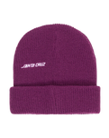 The Santa Cruz Boys Boys Hand Dude Beanie in Fresh Purple
