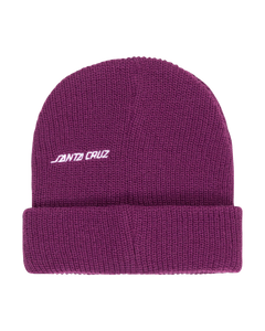 The Santa Cruz Boys Boys Hand Dude Beanie in Fresh Purple