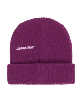 The Santa Cruz Boys Boys Hand Dude Beanie in Fresh Purple