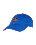 The Santa Cruz Boys Boys Dot Guy TTE Cap in Sapphire