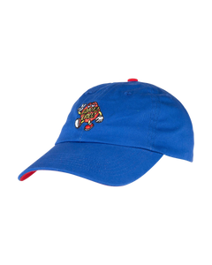 The Santa Cruz Boys Boys Dot Guy TTE Cap in Sapphire