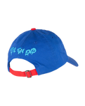 The Santa Cruz Boys Boys Dot Guy TTE Cap in Sapphire