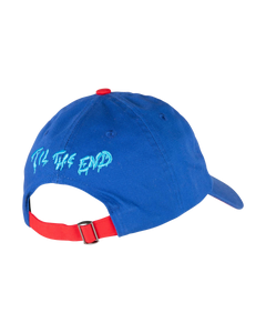 The Santa Cruz Boys Boys Dot Guy TTE Cap in Sapphire